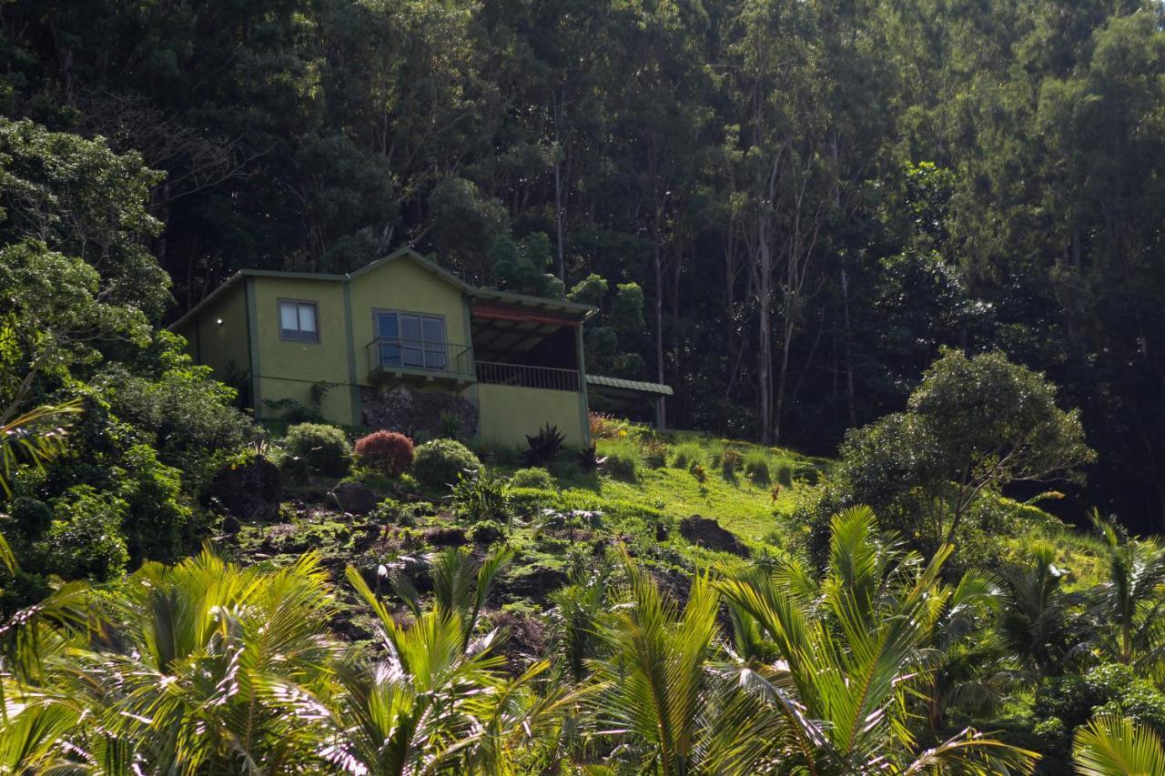 The Green Shack Quatre Soeurs Bagian luar foto