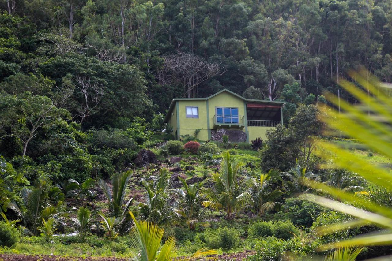 The Green Shack Quatre Soeurs Bagian luar foto