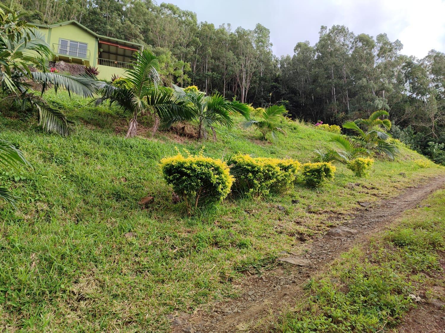 The Green Shack Quatre Soeurs Bagian luar foto