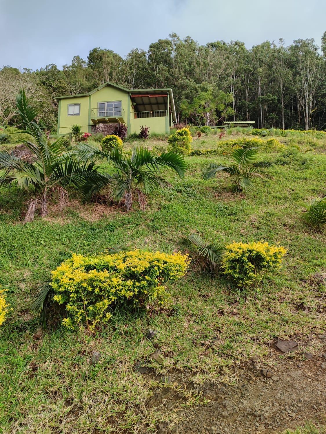 The Green Shack Quatre Soeurs Bagian luar foto