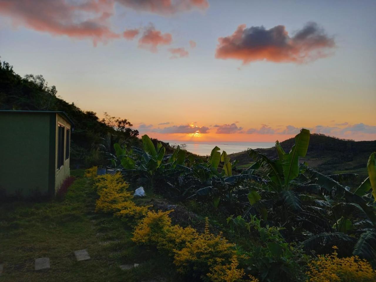 The Green Shack Quatre Soeurs Bagian luar foto
